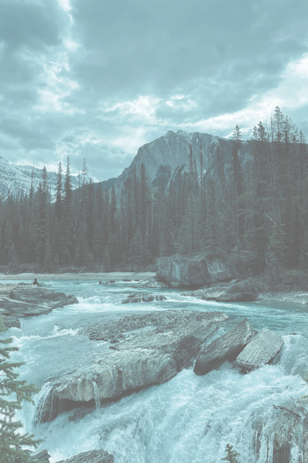jasper national park canada
