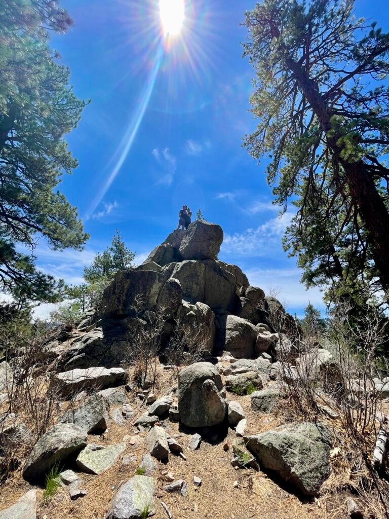 woodland interpretive trail big bear