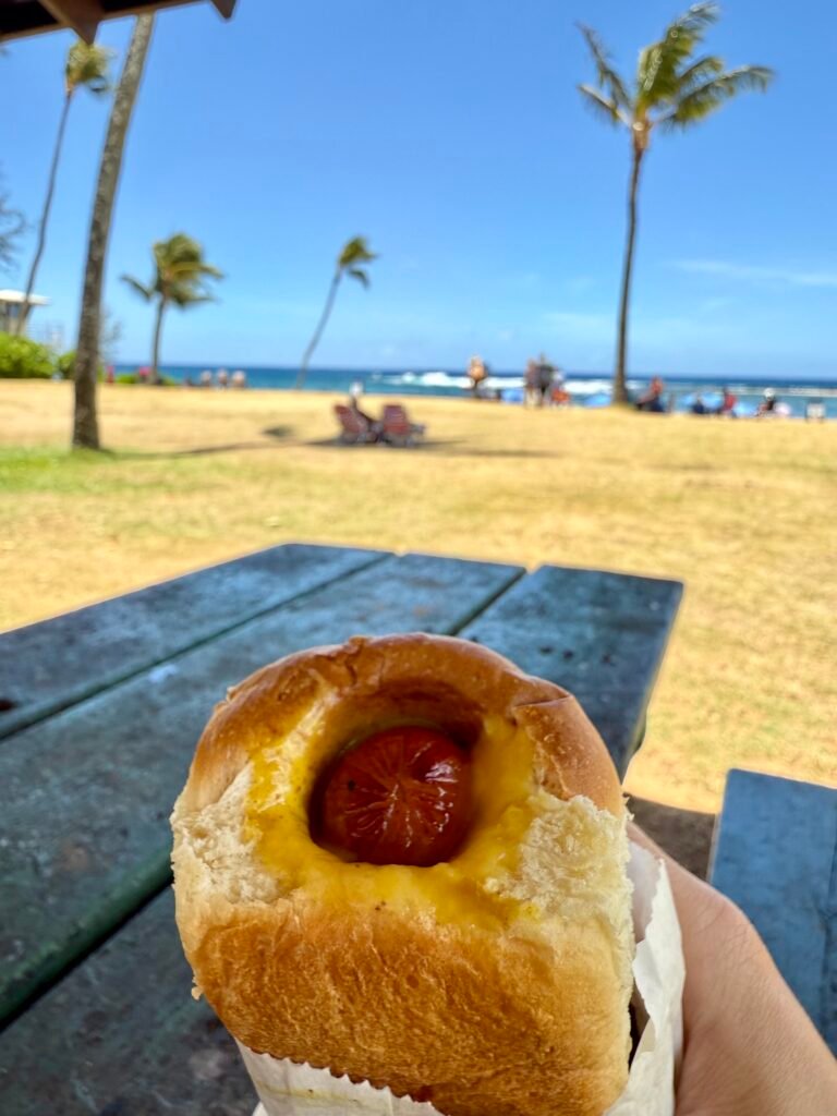 puka dog kauai hawaii