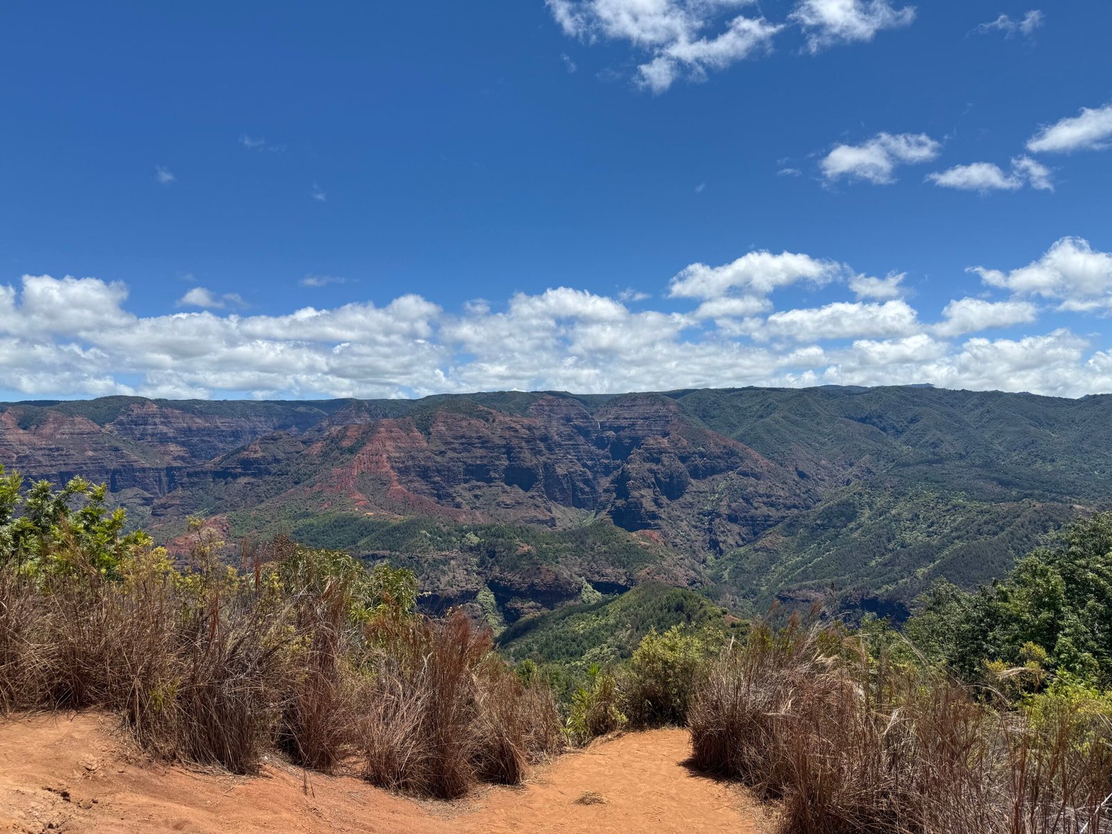 Waimea canyon kauai