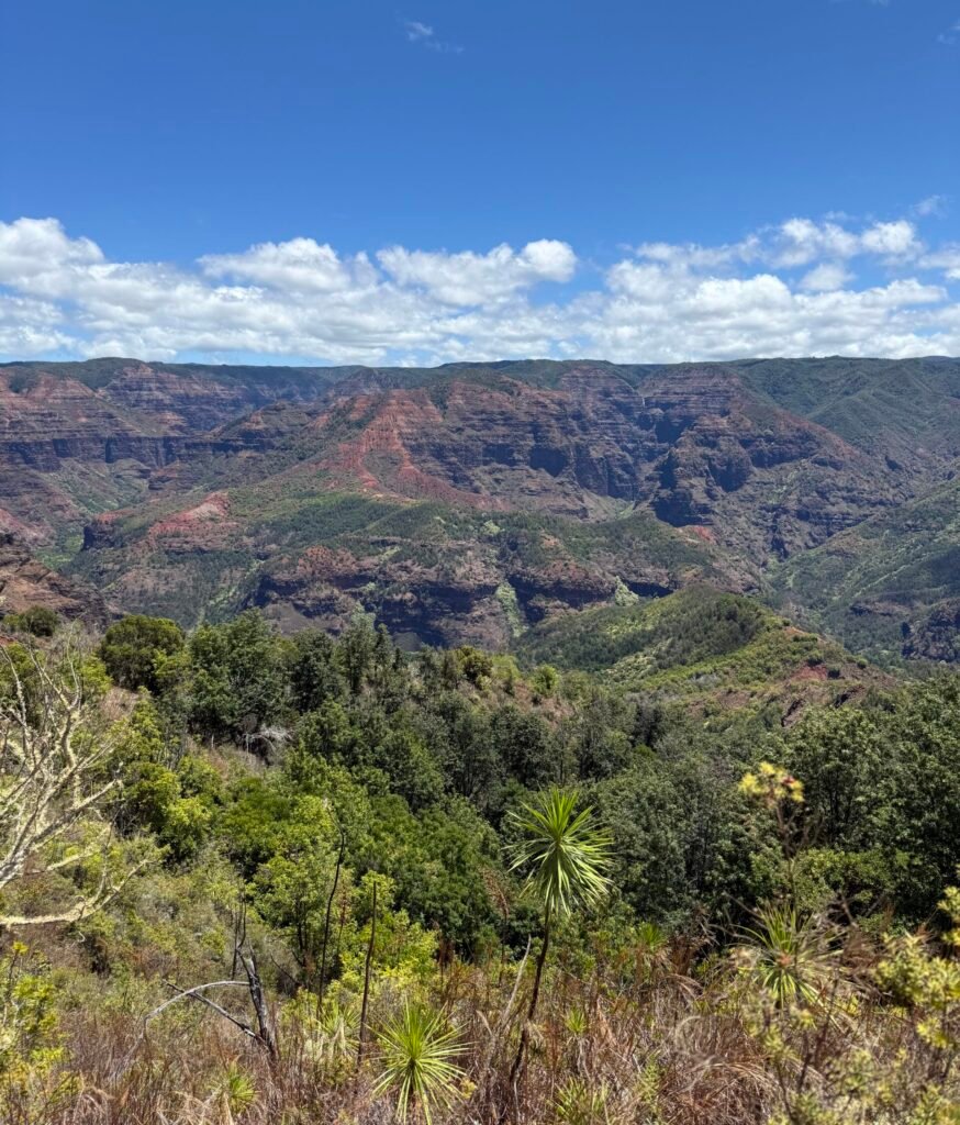 Waimea canyon kauai