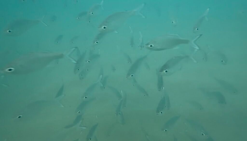 lydgate beach park kauai