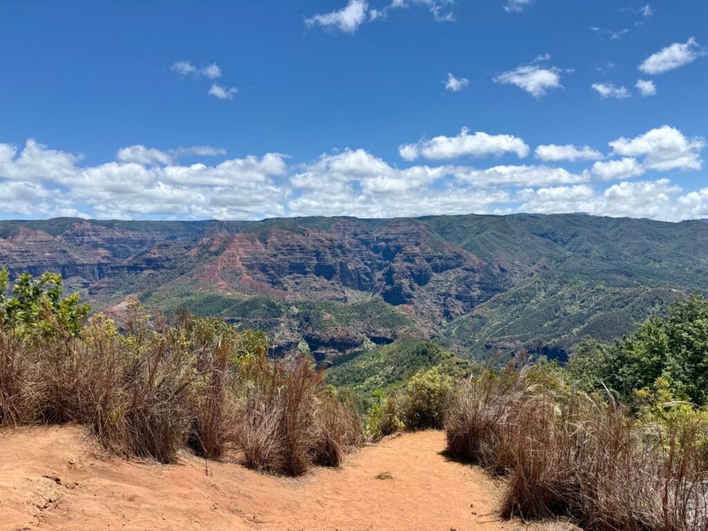 why is travel so expensive in 2026